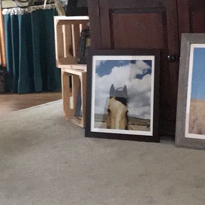 Meet your Posher, Dawn